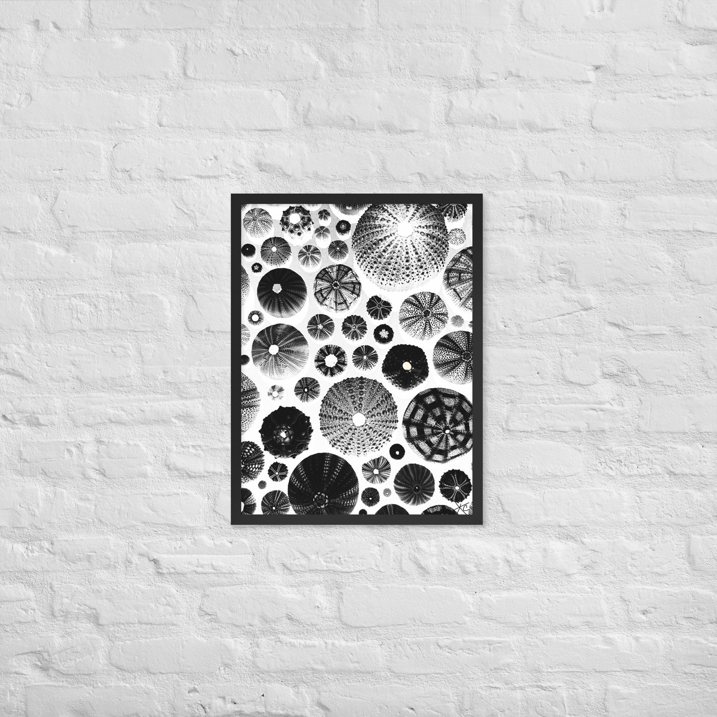 Urchin Glad You Came? - Framed Art -(White Background)