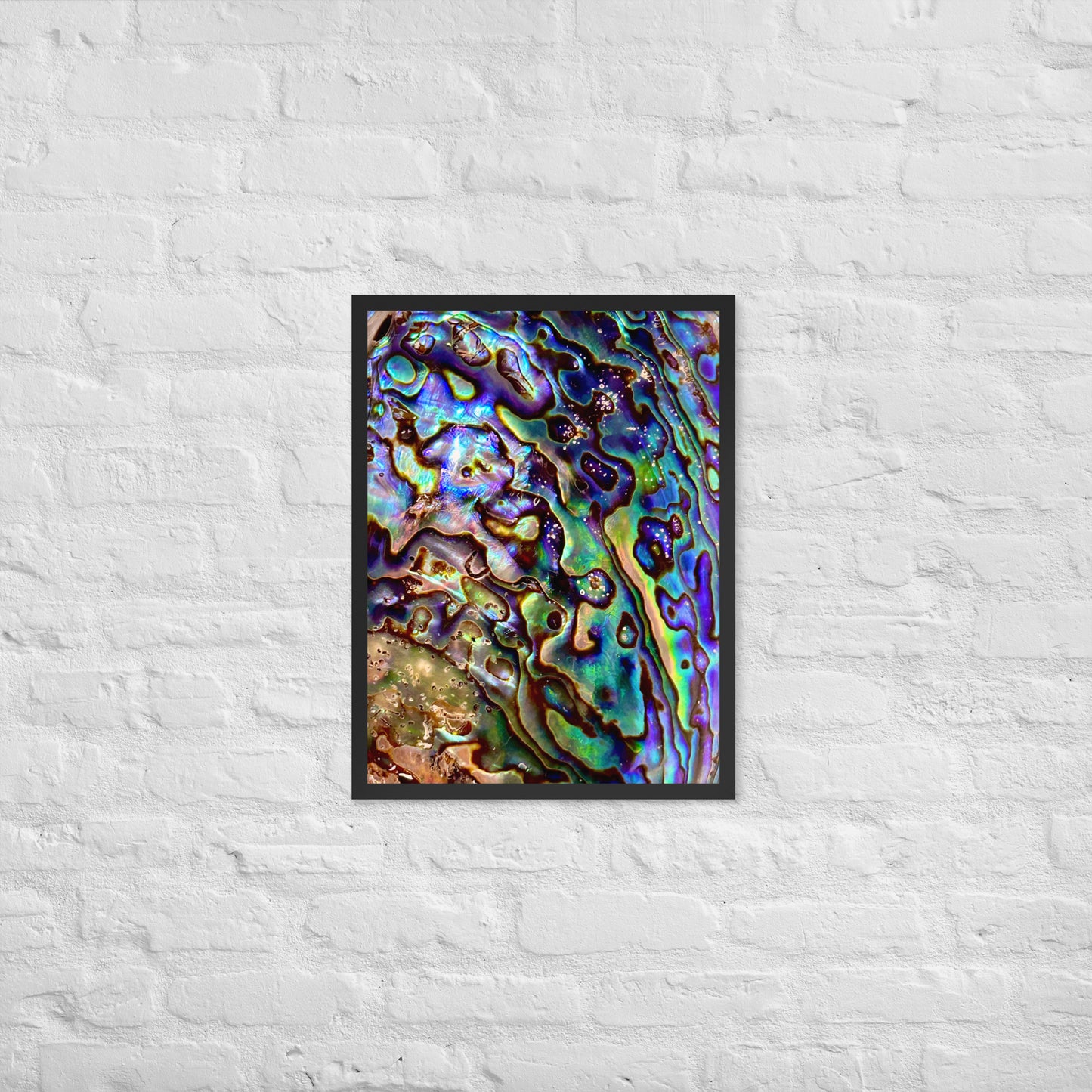 Abalone Dream - Framed Print