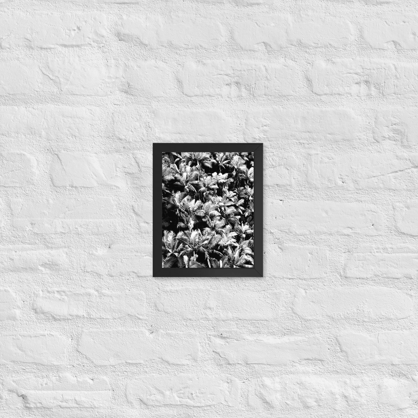 Palm Paradise - Framed Art