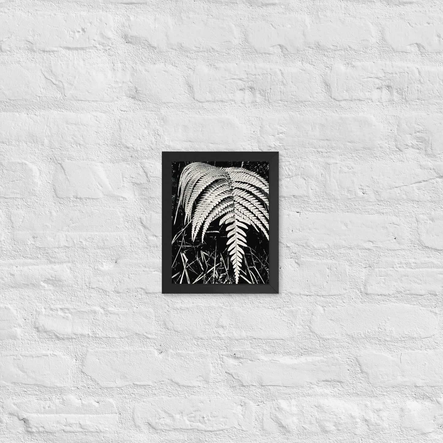 Fernology - Framed Art