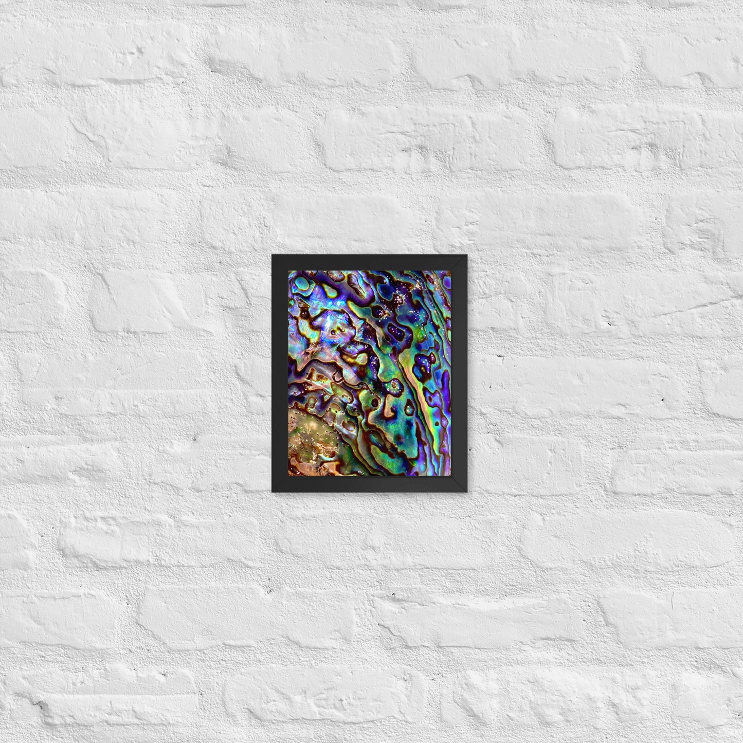 Abalone Dream - Framed Print