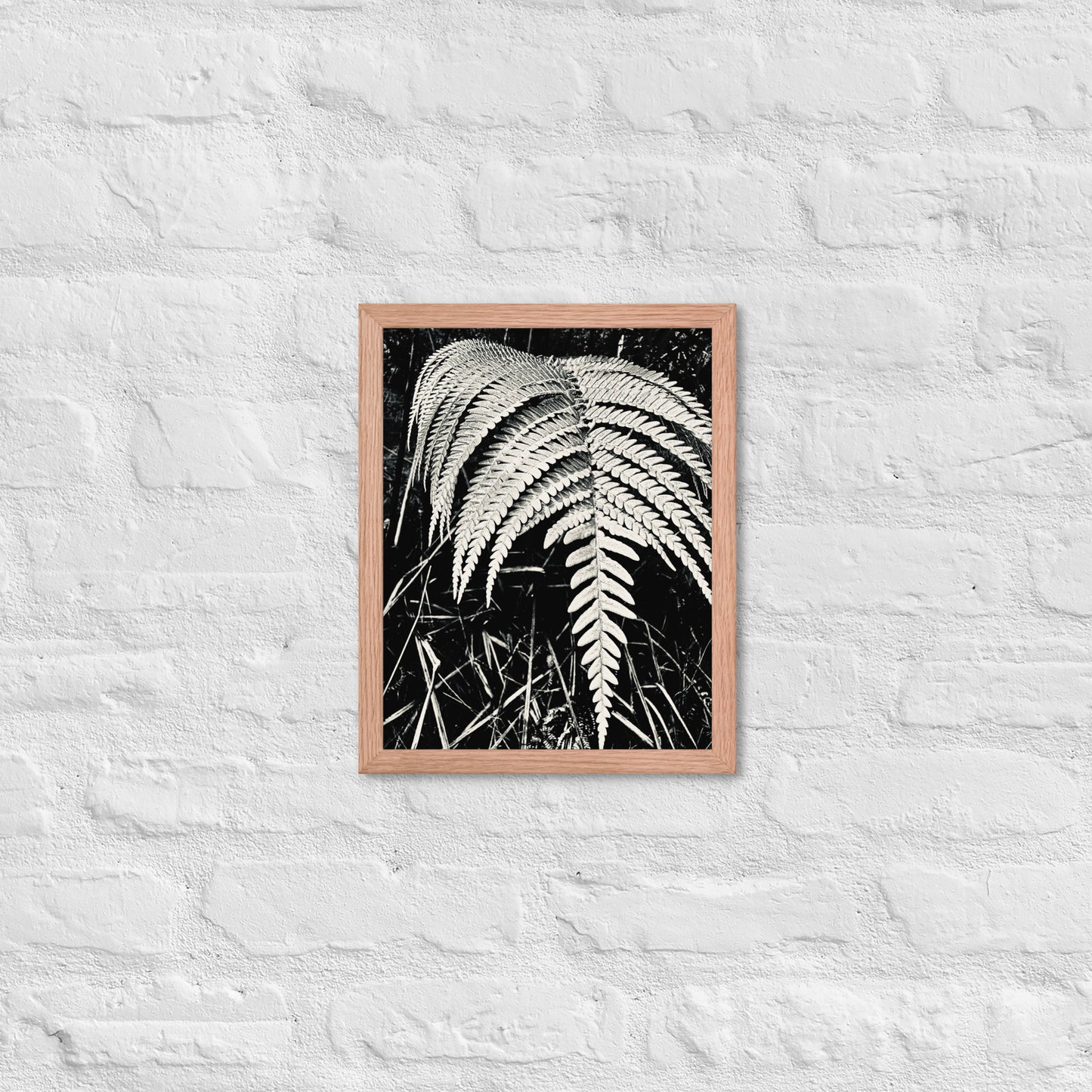 Fernology - Framed Art