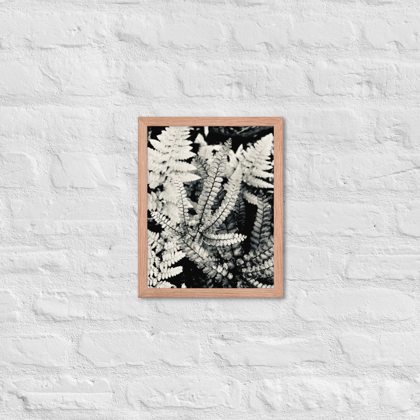 Volcano Fern - Framed Art