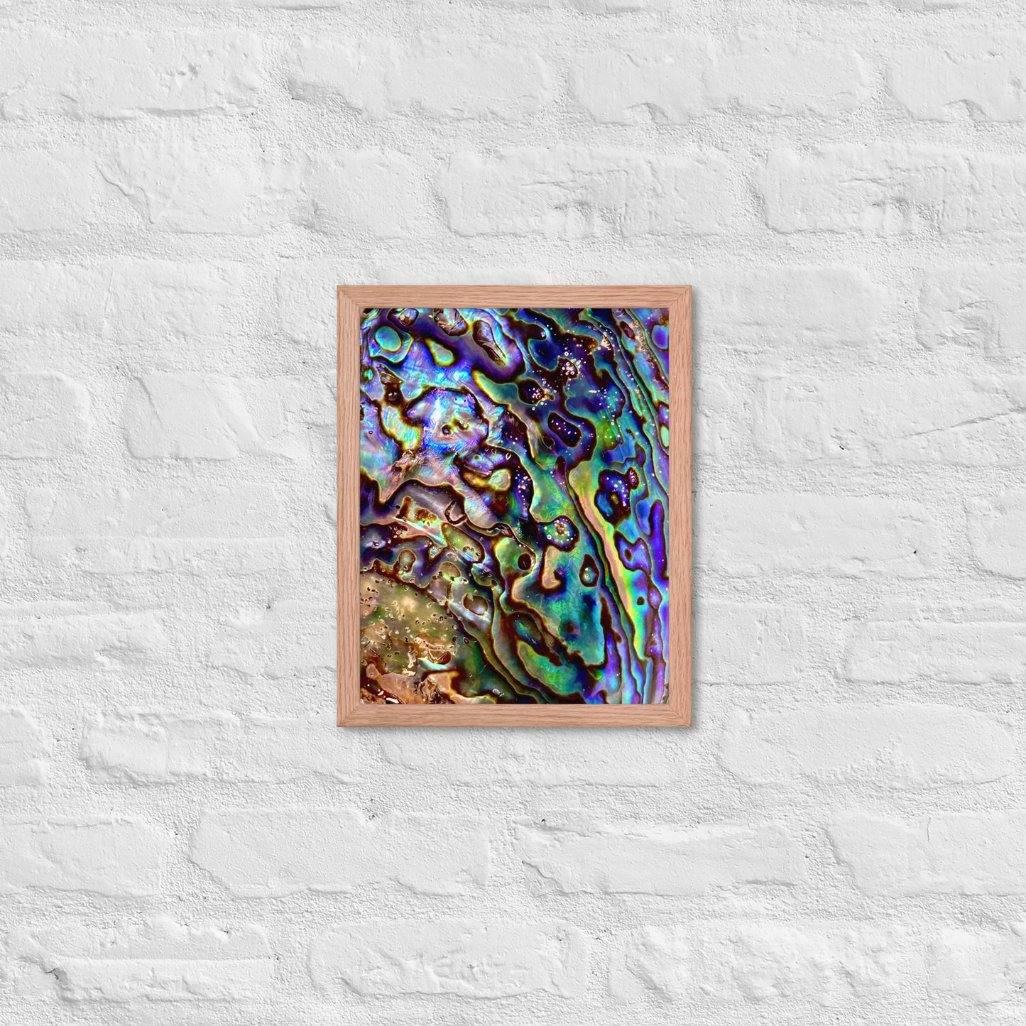Abalone Dream - Framed Print