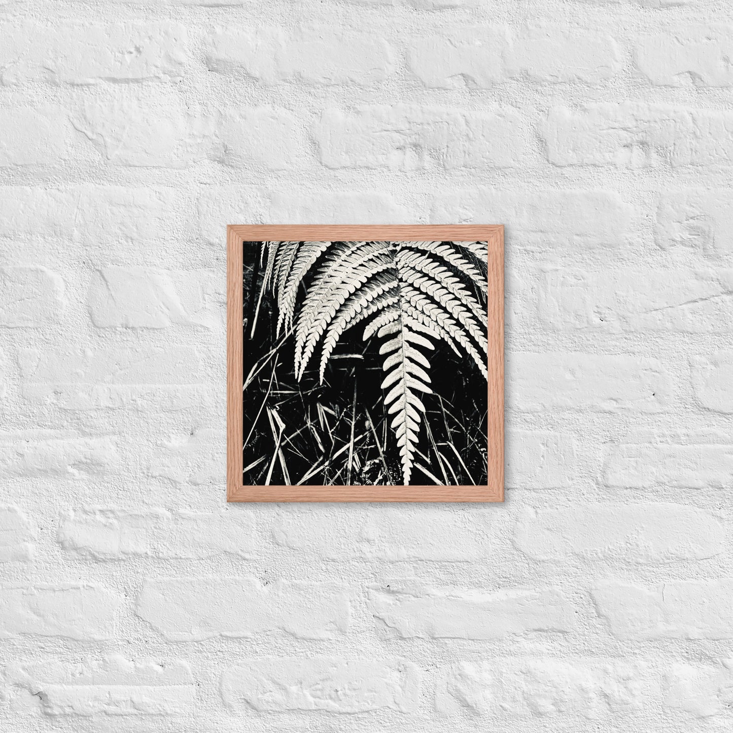 Fernology - Framed Art