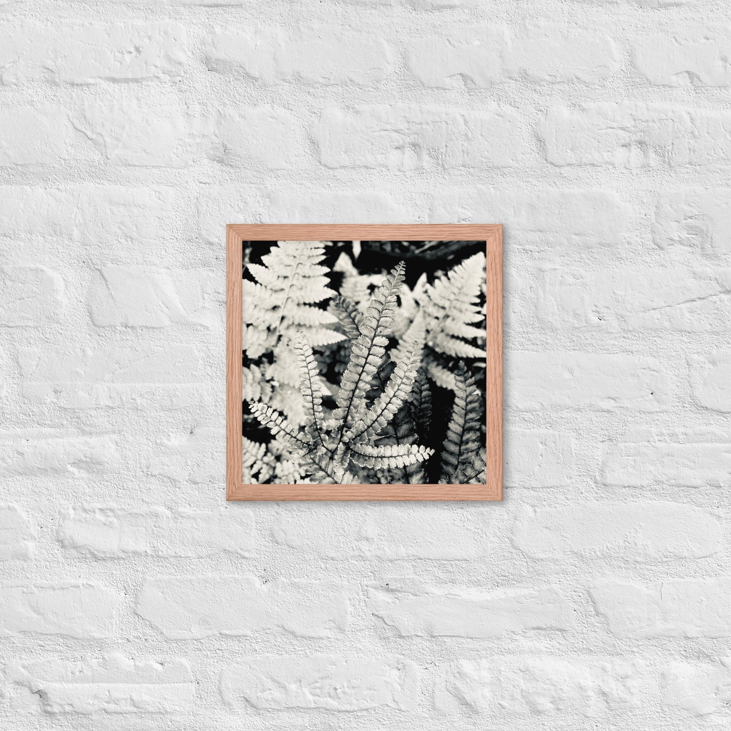 Volcano Fern - Framed Art