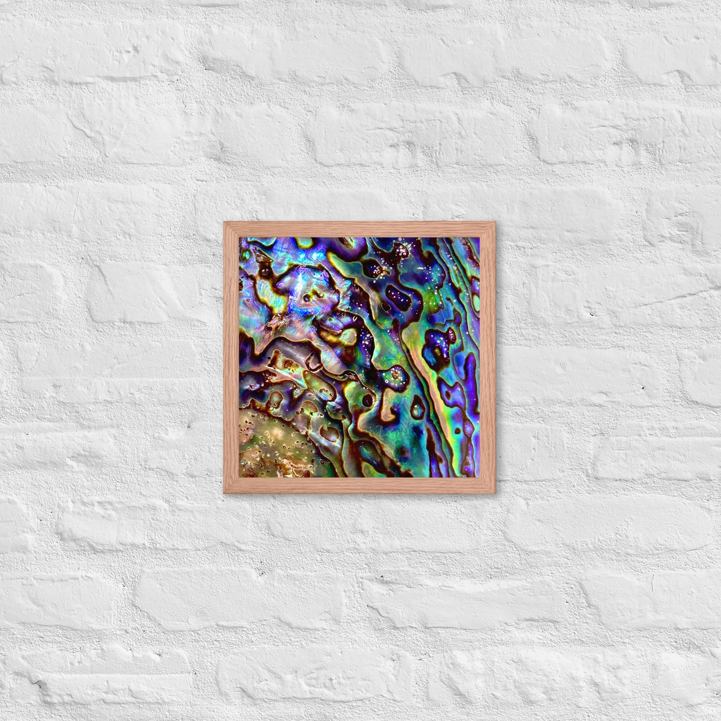 Abalone Dream - Framed Print