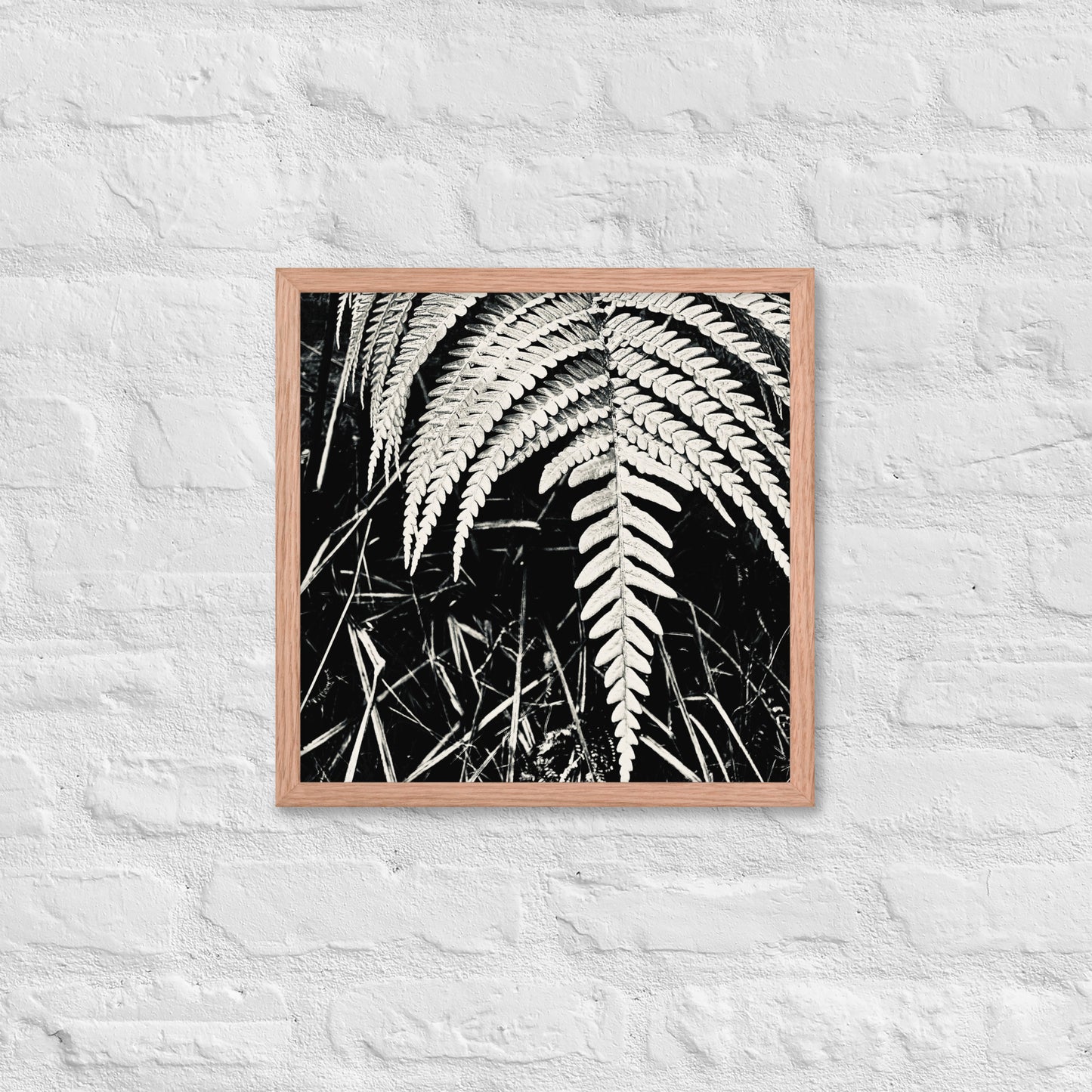 Fernology - Framed Art