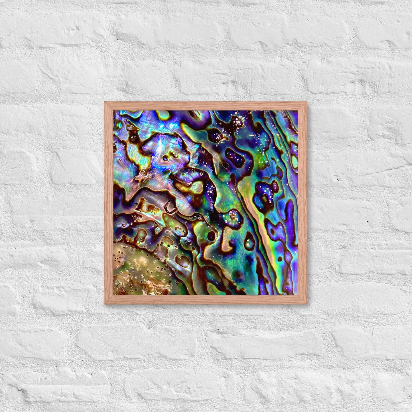 Abalone Dream - Framed Print
