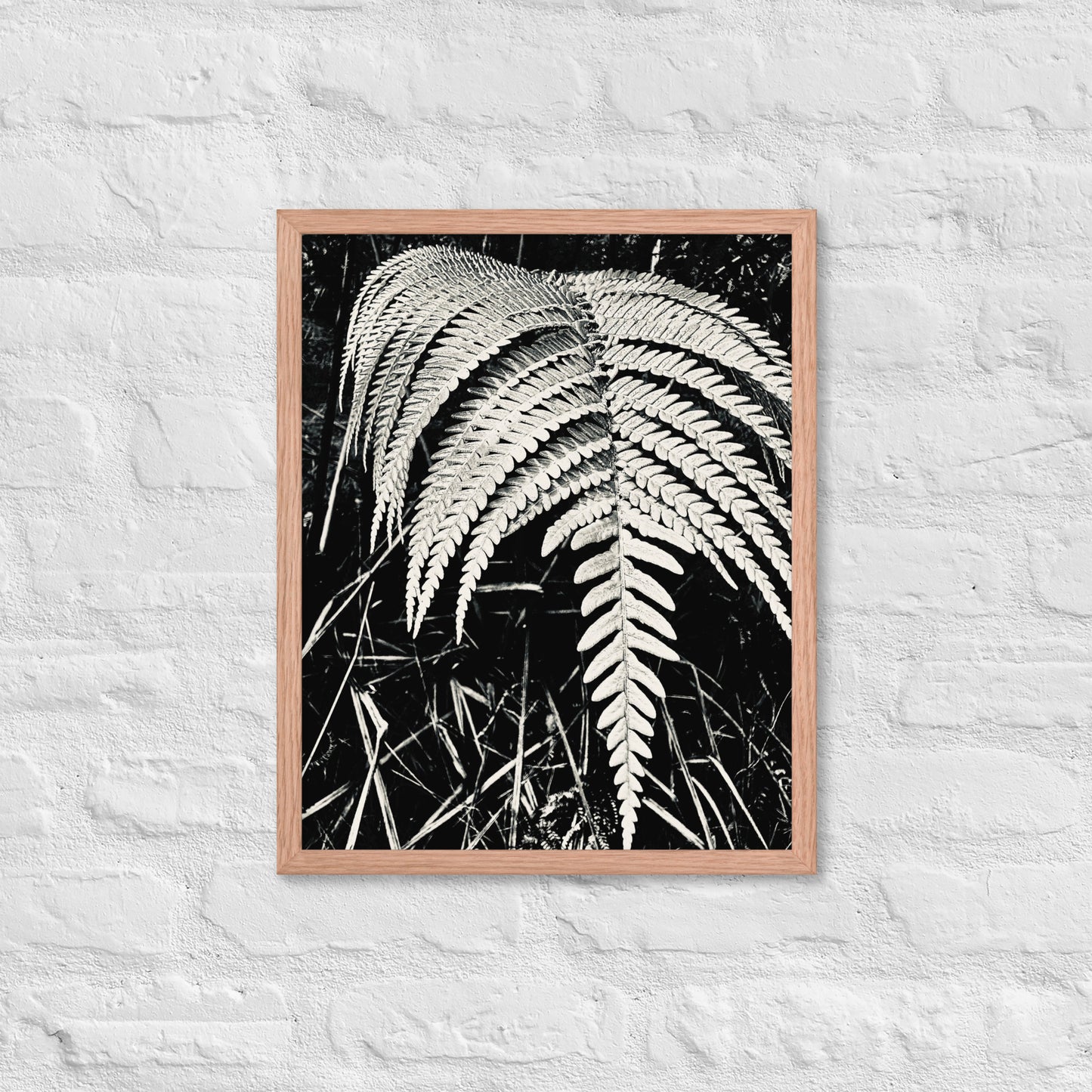 Fernology - Framed Art