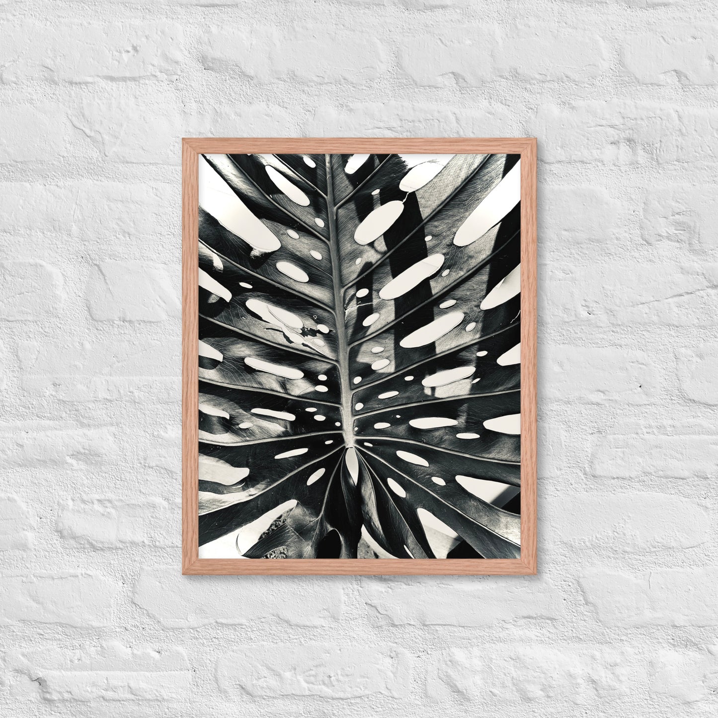 Monstera Madness - Framed Art