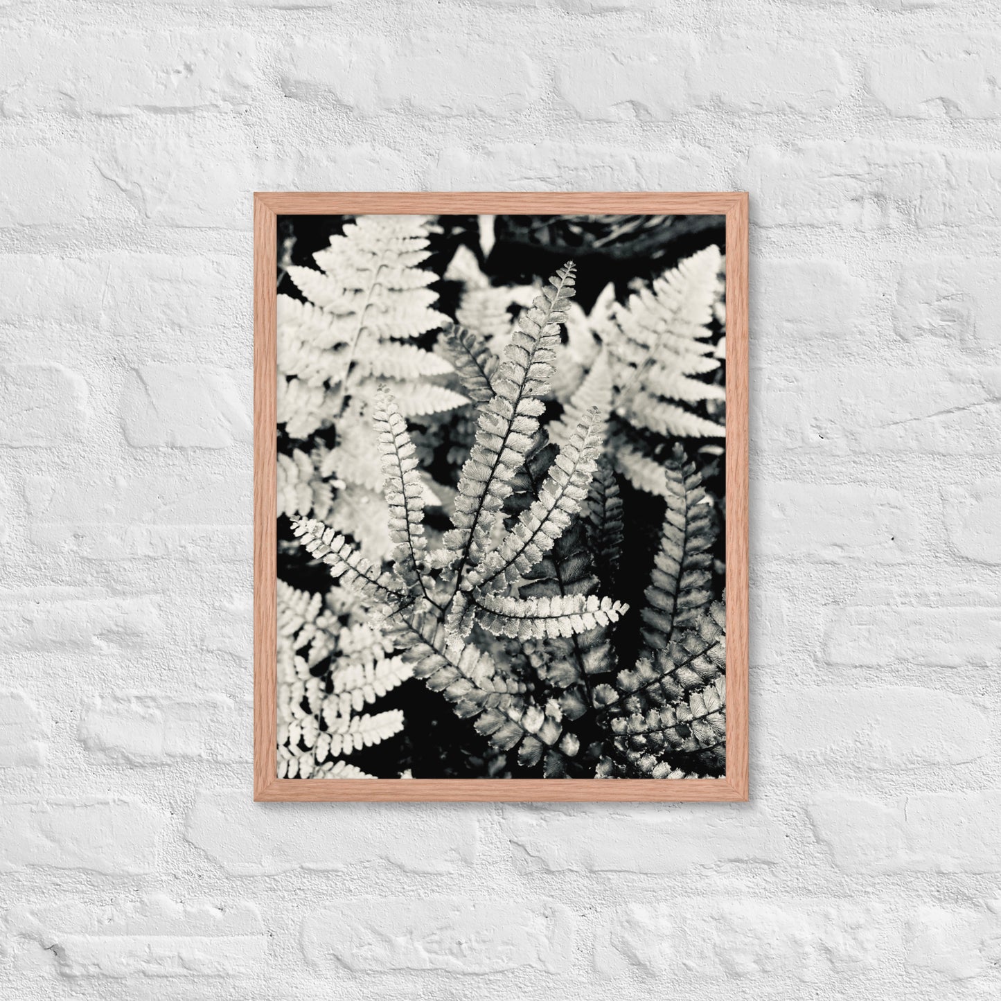 Volcano Fern - Framed Art