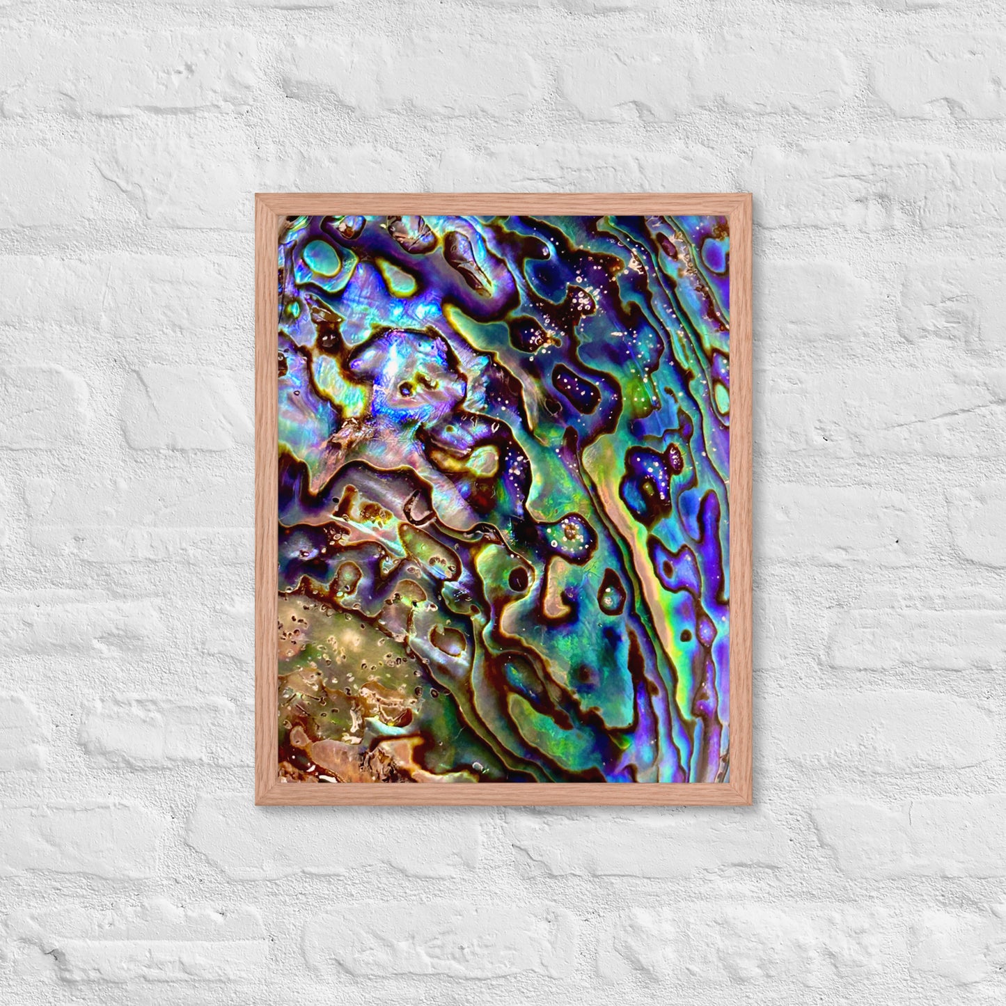 Abalone Dream - Framed Print