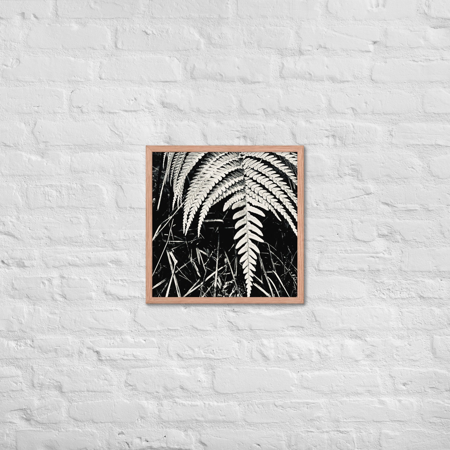 Fernology - Framed Art