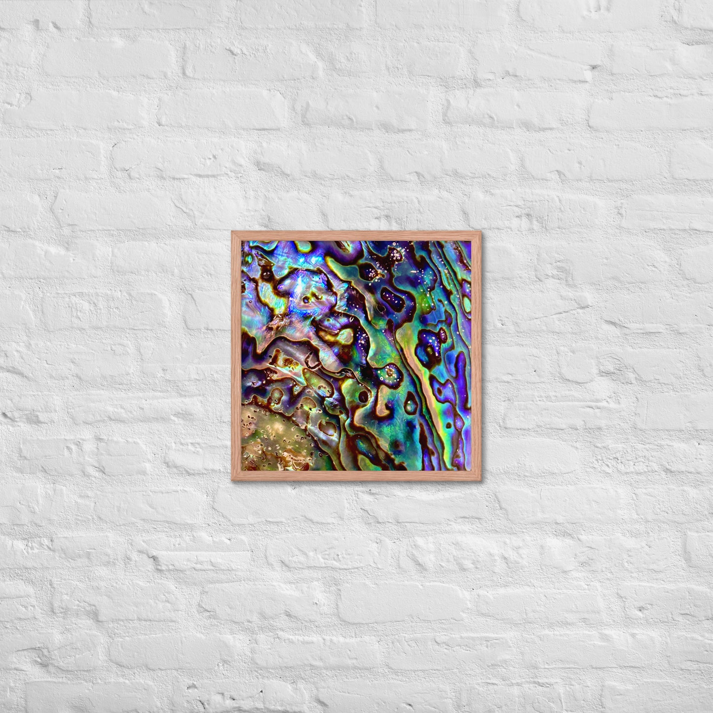 Abalone Dream - Framed Print