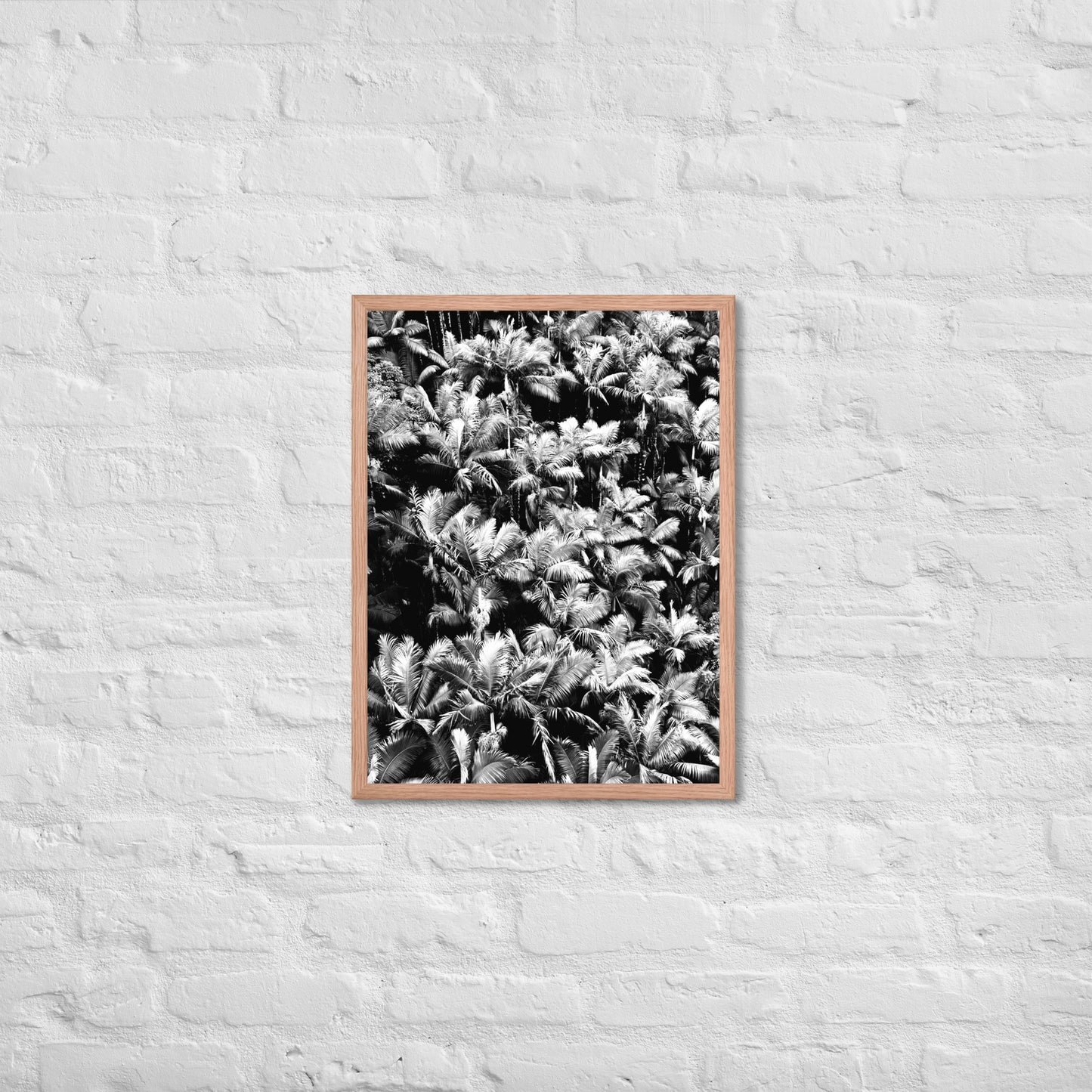 Palm Paradise - Framed Art