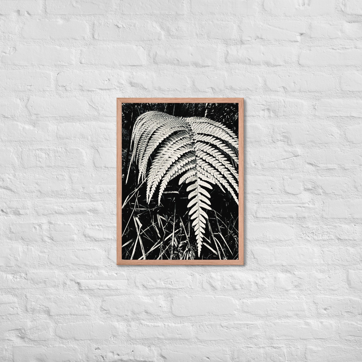 Fernology - Framed Art