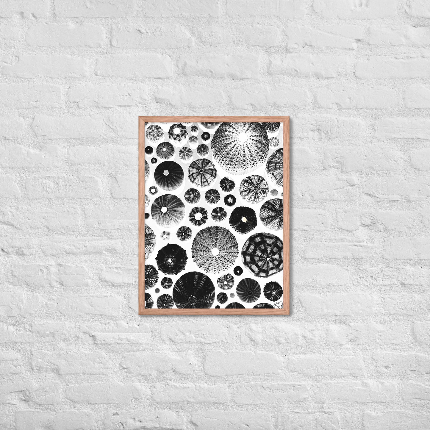 Urchin Glad You Came? - Framed Art -(White Background)