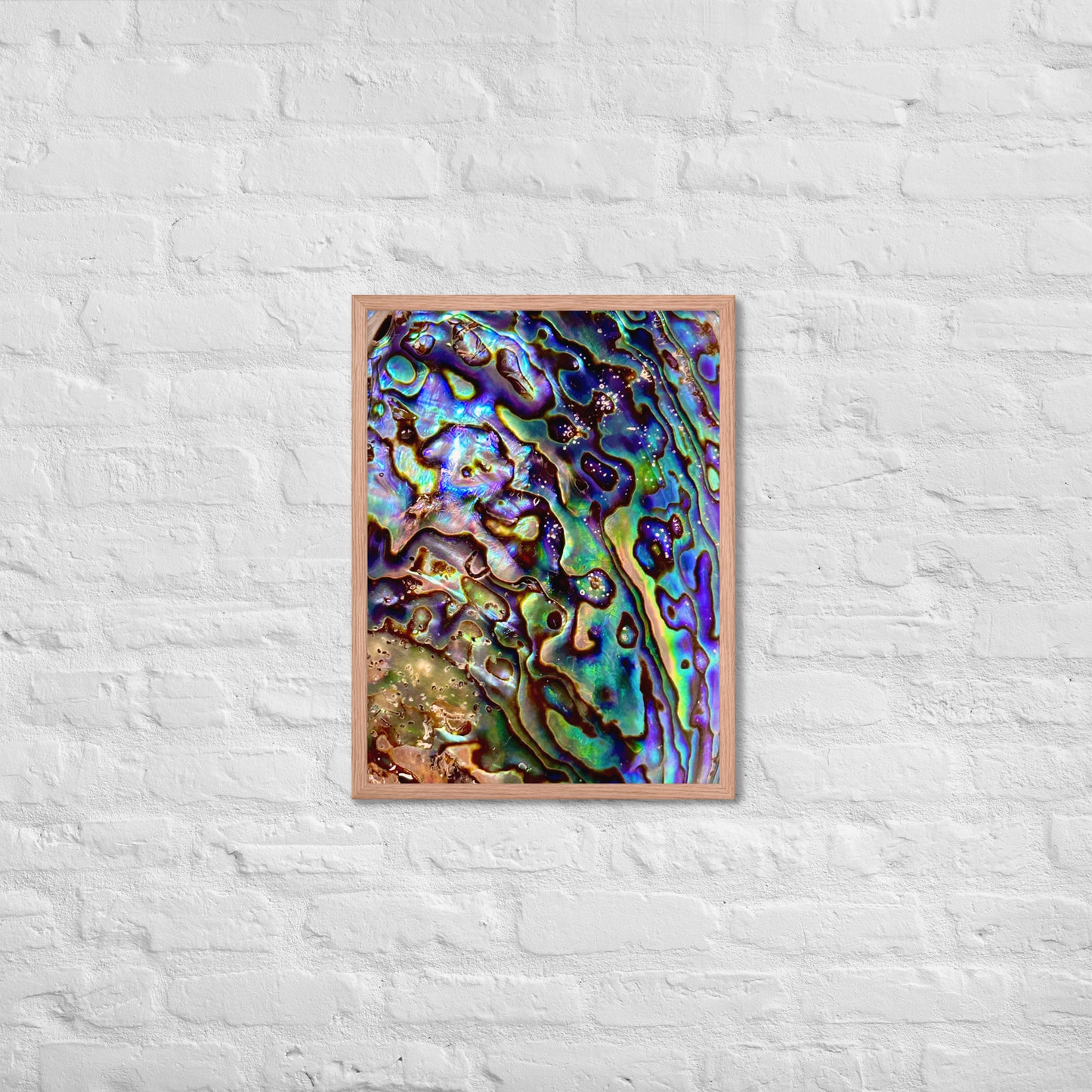 Abalone Dream - Framed Print