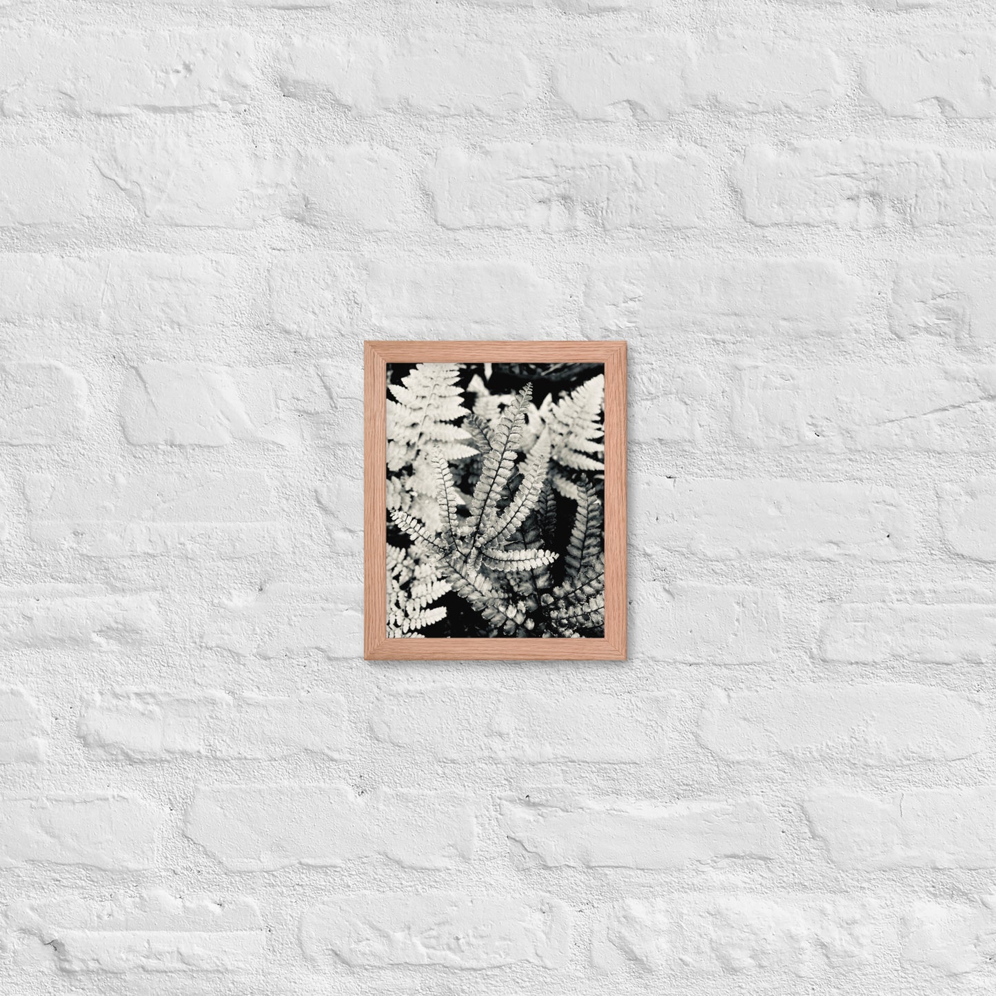 Volcano Fern - Framed Art