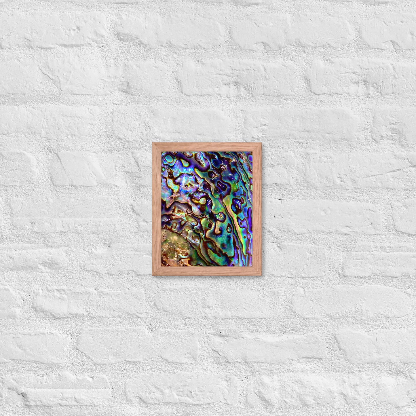 Abalone Dream - Framed Print