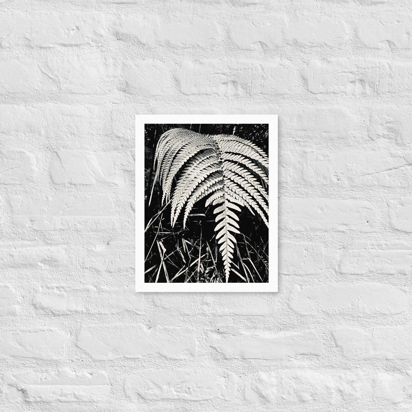 Fernology - Framed Art