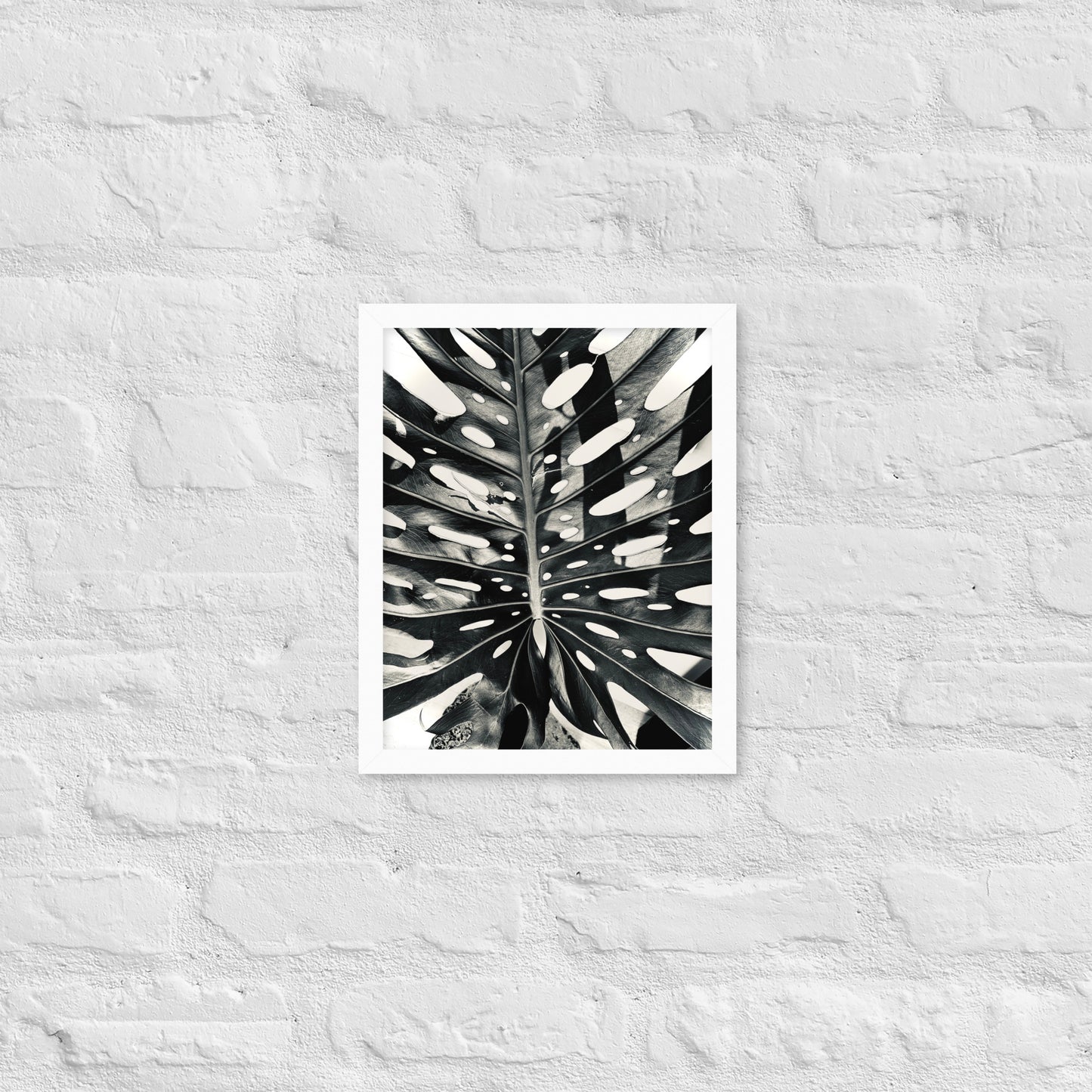 Monstera Madness - Framed Art