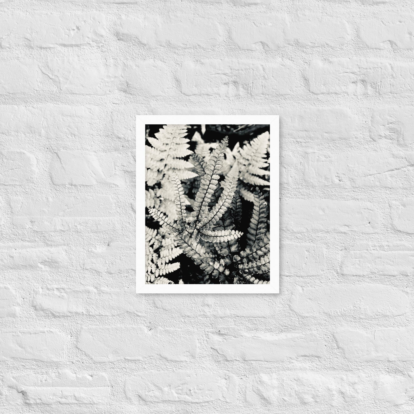 Volcano Fern - Framed Art