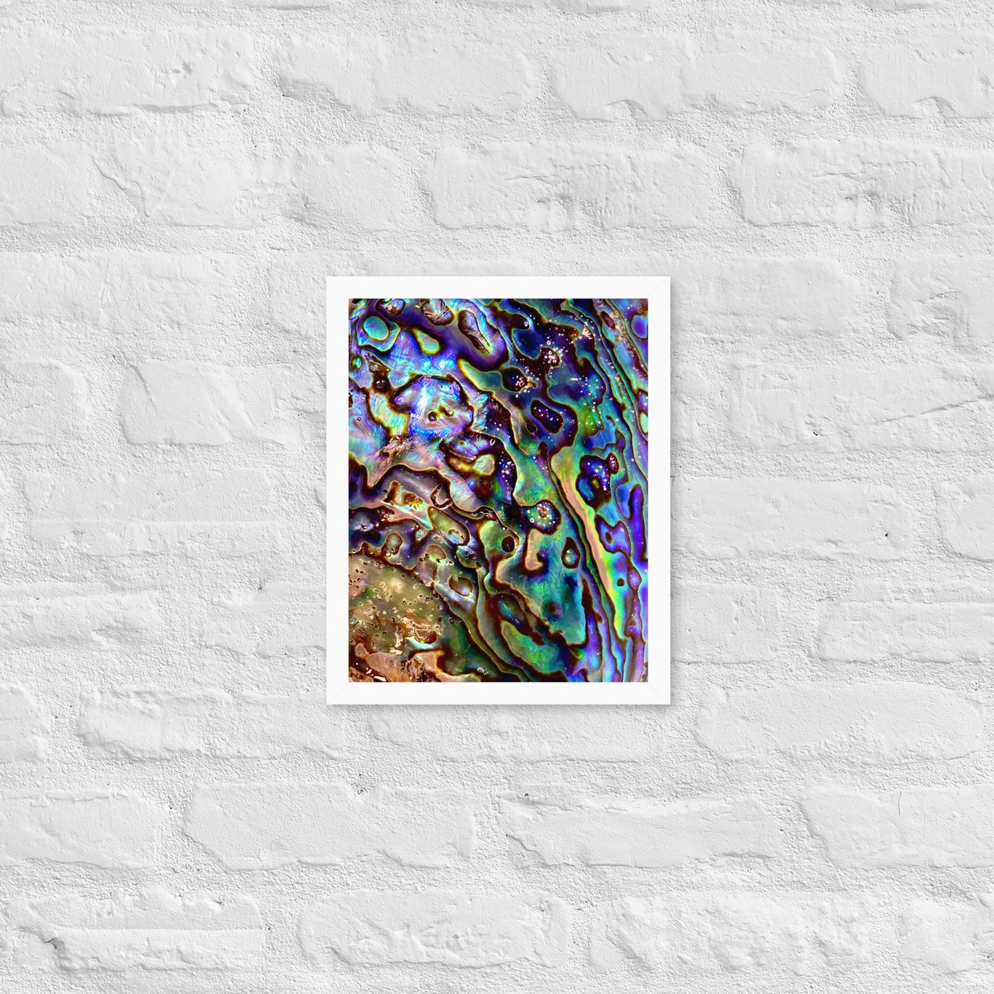 Abalone Dream - Framed Print