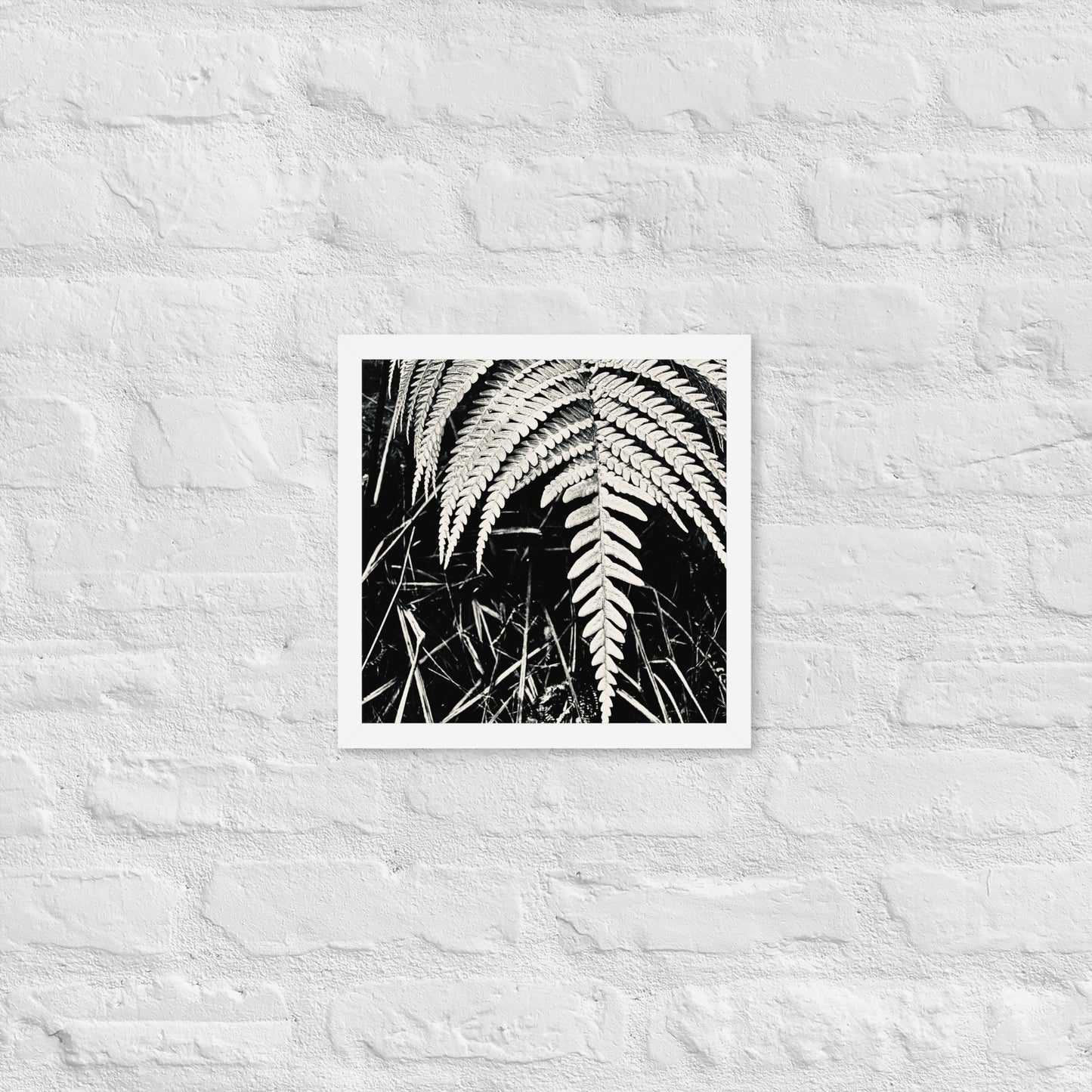 Fernology - Framed Art
