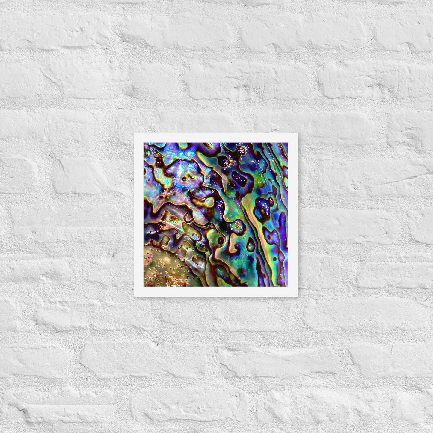 Abalone Dream - Framed Print