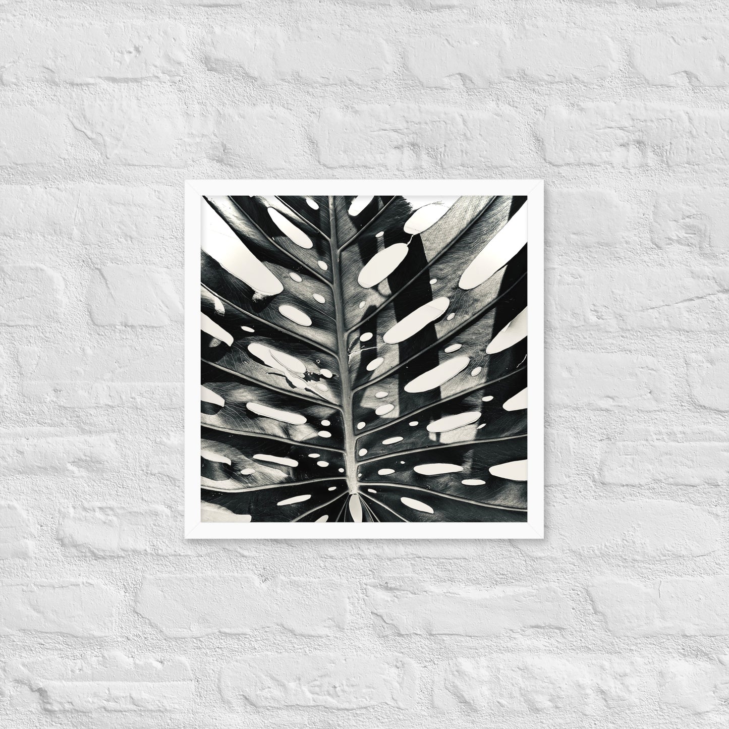 Monstera Madness - Framed Art