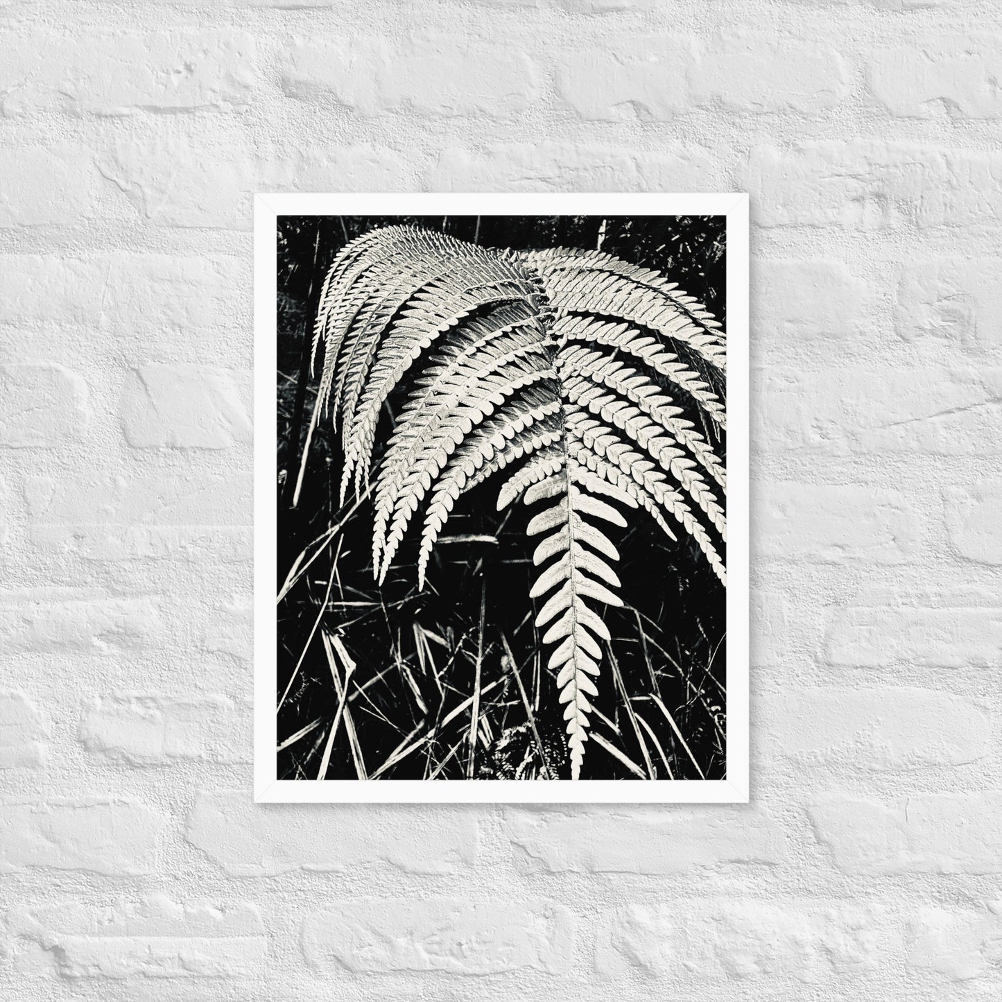 Fernology - Framed Art