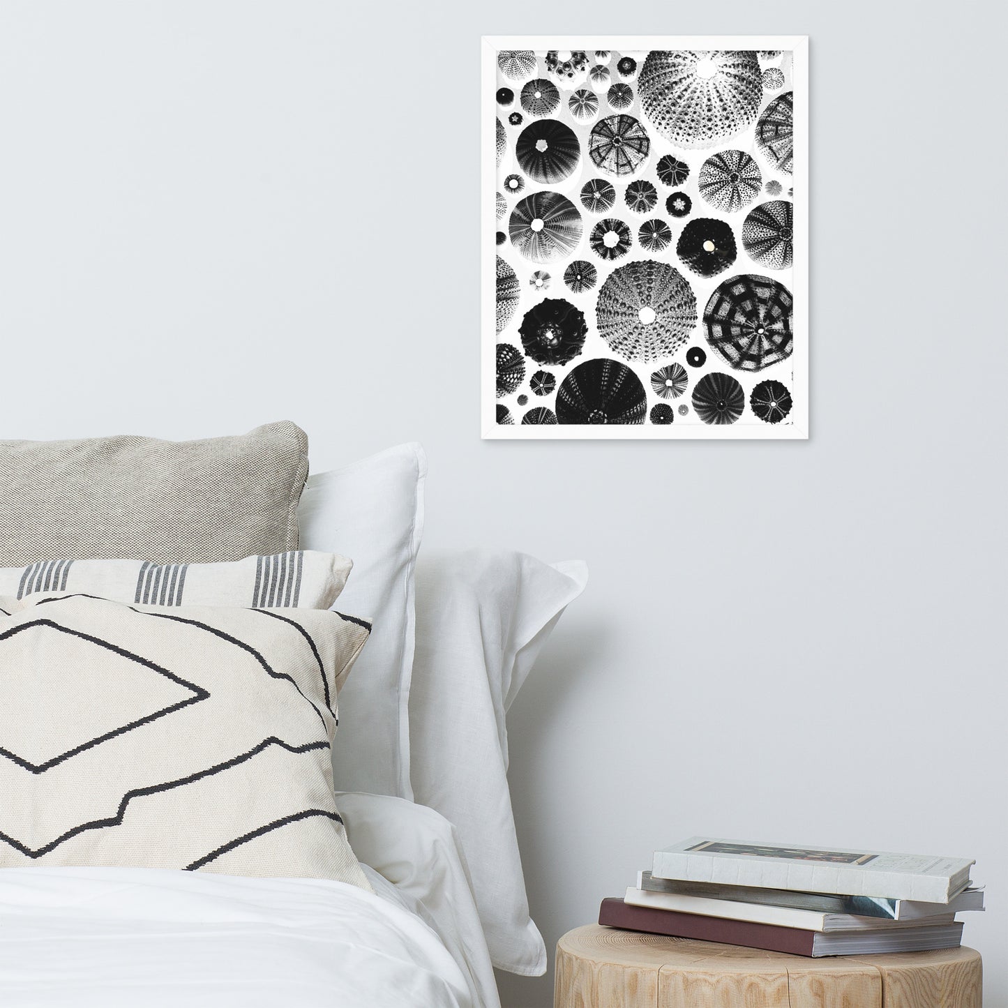 Urchin Glad You Came? - Framed Art -(White Background)