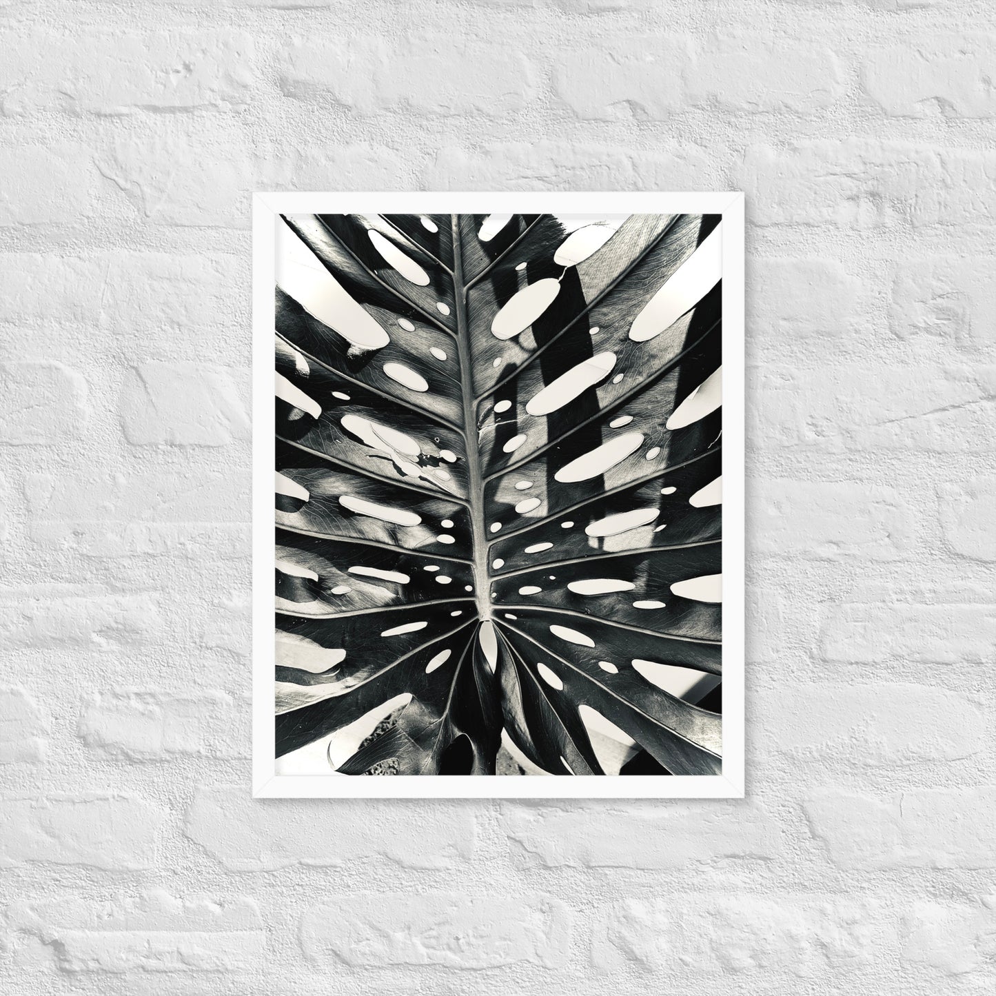 Monstera Madness - Framed Art