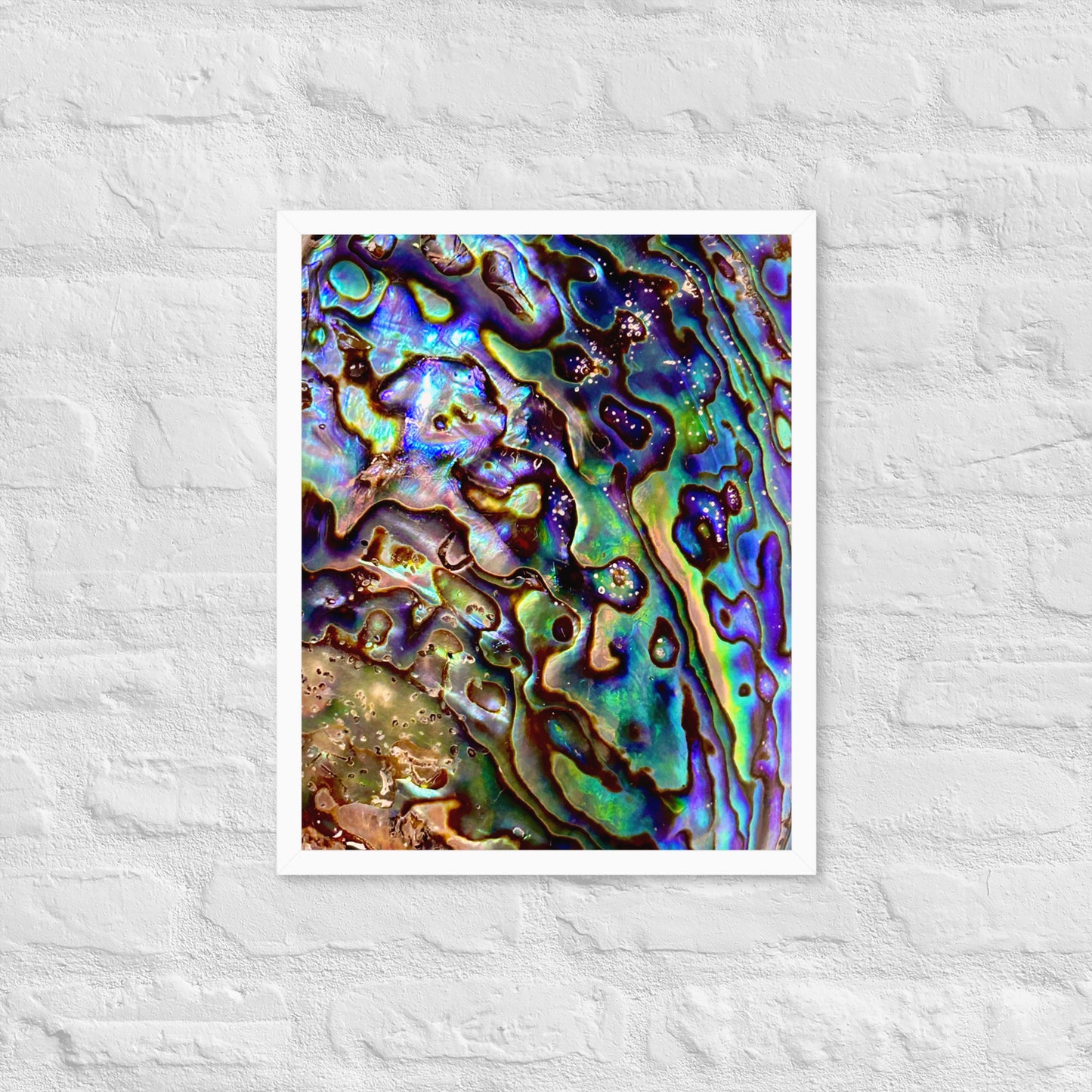 Abalone Dream - Framed Print