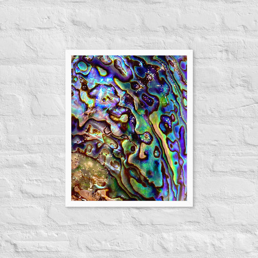 Abalone Dream - Framed Print