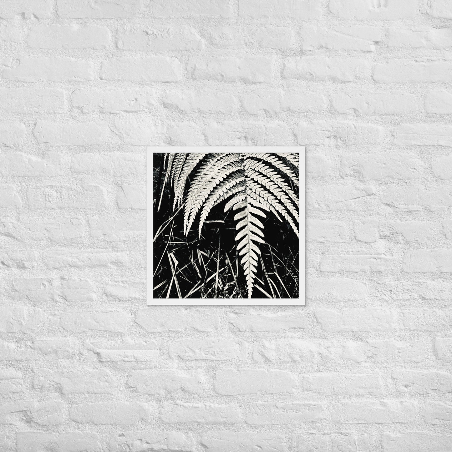 Fernology - Framed Art