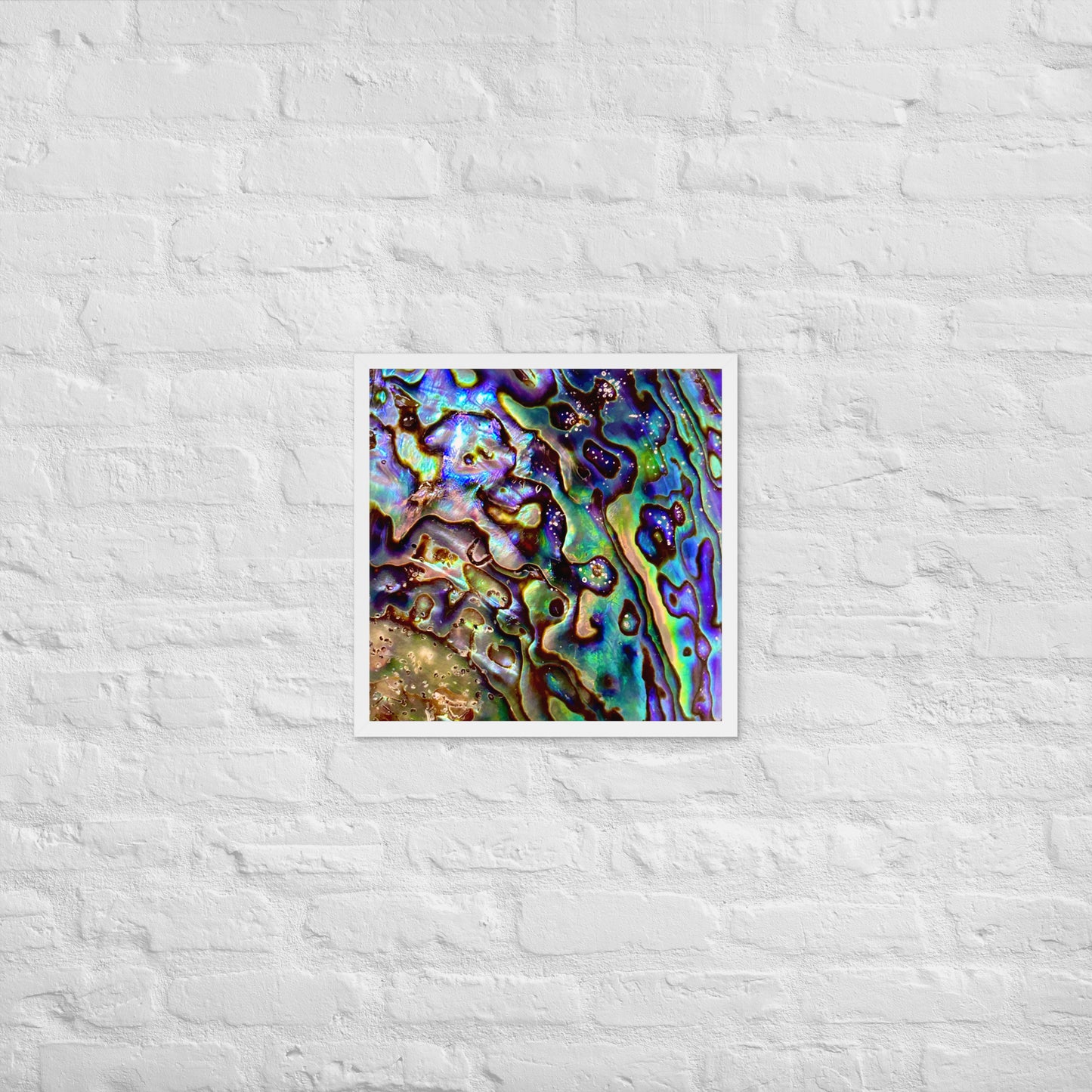 Abalone Dream - Framed Print