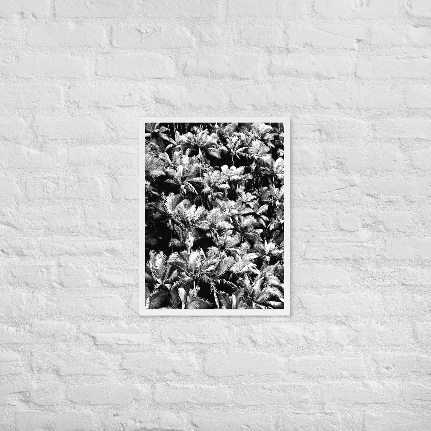 Palm Paradise - Framed Art