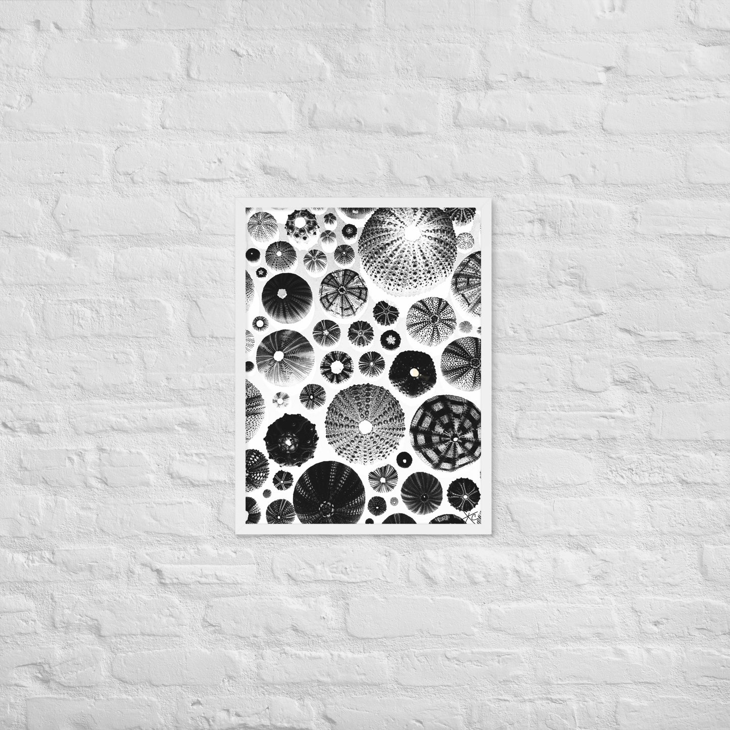 Urchin Glad You Came? - Framed Art -(White Background)