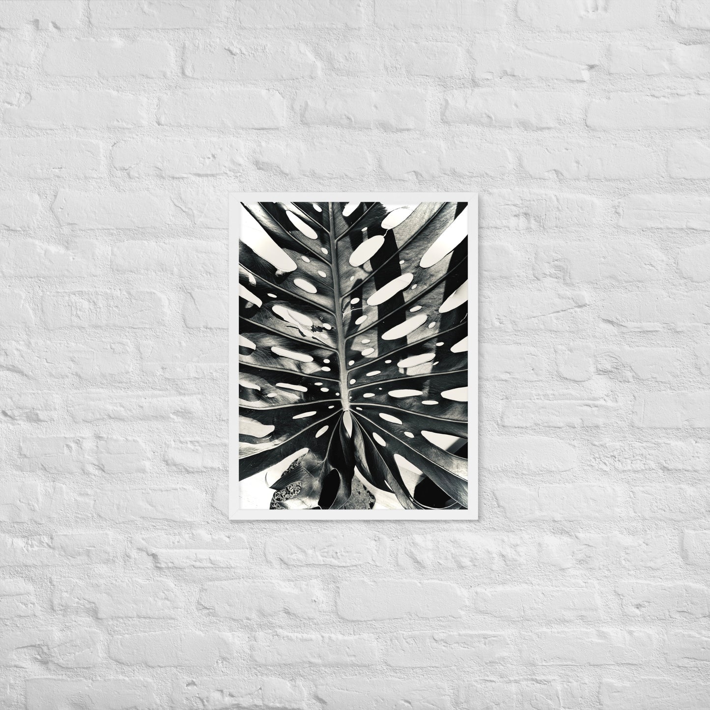 Monstera Madness - Framed Art
