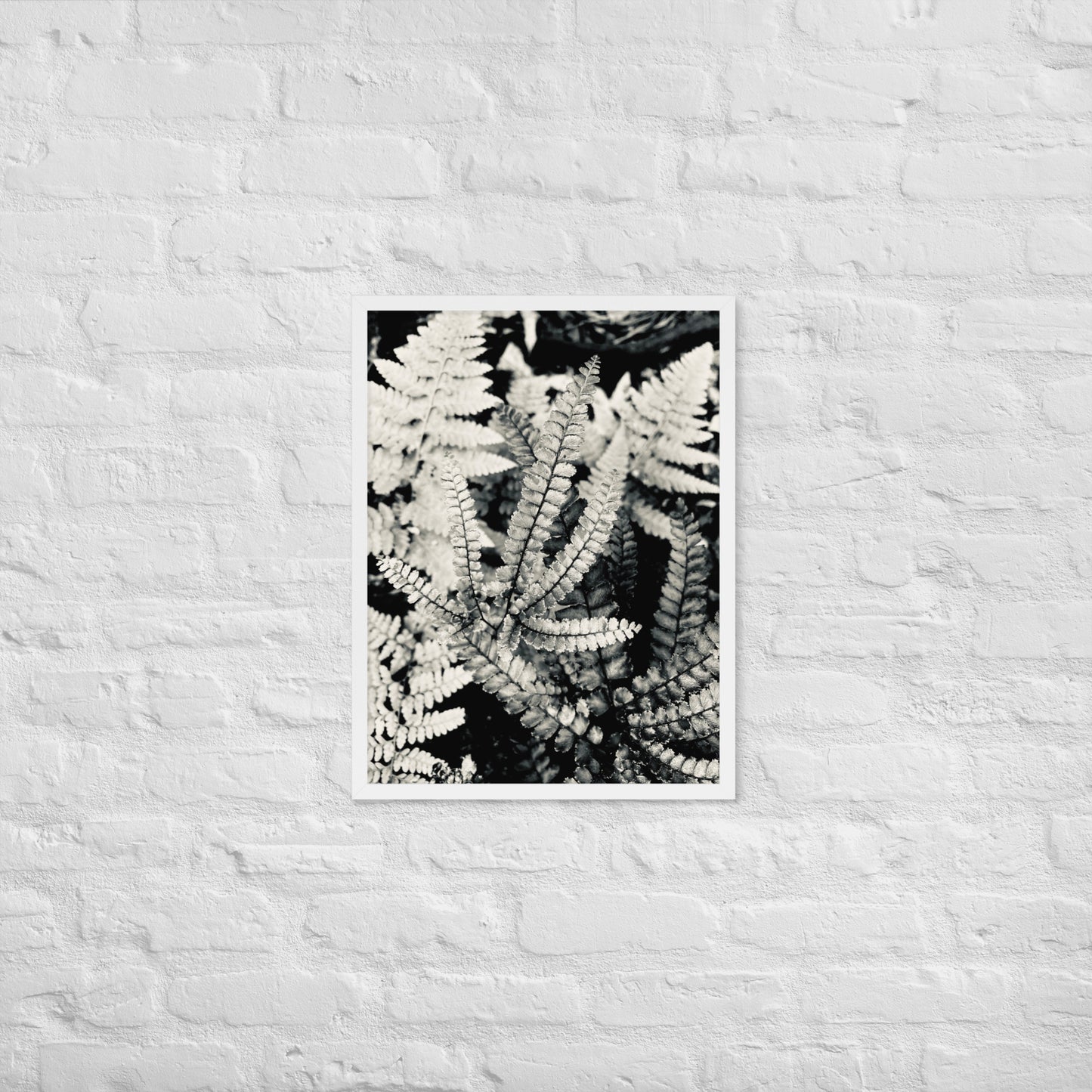 Volcano Fern - Framed Art