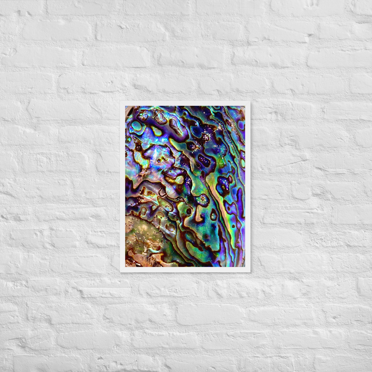 Abalone Dream - Framed Print