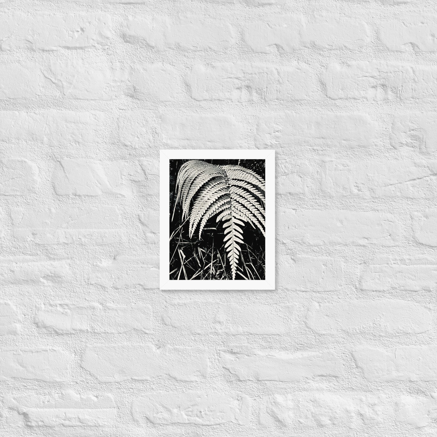 Fernology - Framed Art