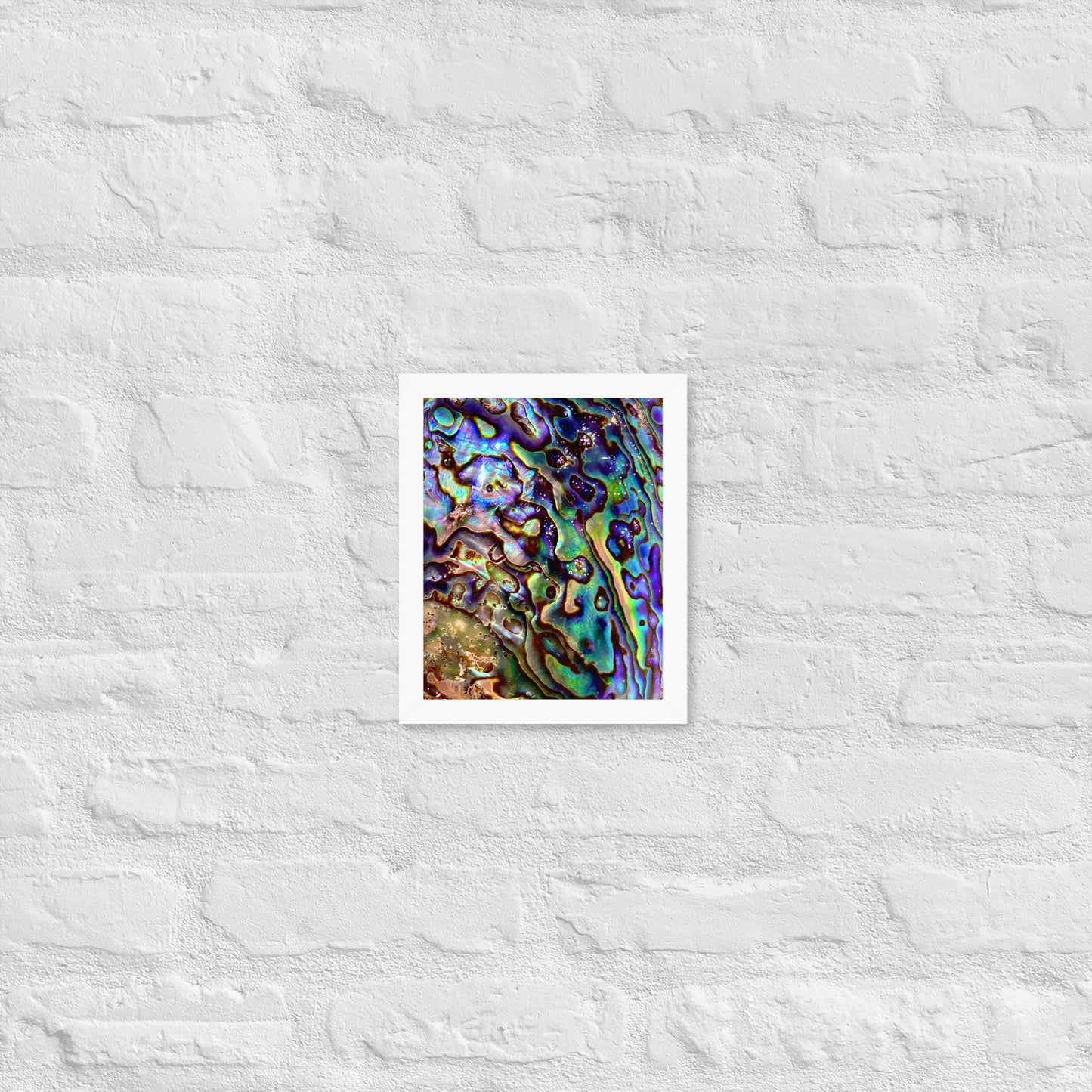 Abalone Dream - Framed Print